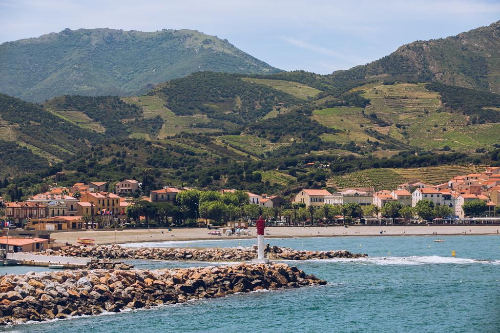 Regina'S Banyuls - Spatious Apartment Next To The Beach المظهر الخارجي الصورة
