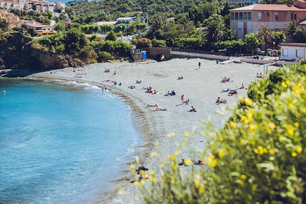 Regina'S Banyuls - Spatious Apartment Next To The Beach المظهر الخارجي الصورة